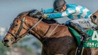 週末の京都は雨模様 道悪で浮上する秋華賞の穴馬とは？