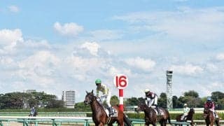 『ザ・ロイヤルファミリー』で話題に 競走馬の預託料は“年850万円”ってホント!?