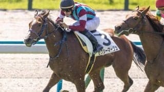 京都芝はまだイン有利 京都12Rはセクシーマージュが軸に最適だ