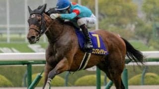 【秋華賞】桜花賞との2冠達成なら18年ぶり4頭目 エンブロイダリーがぶっつけ参戦だ