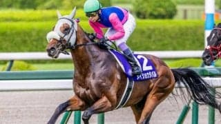 【天皇賞(秋)想定馬・騎手】メイショウタバル、タスティエーラなど16頭