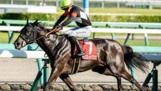 秋華賞はキンカメの血が5連勝中 今年の該当馬は？