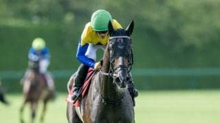 【秋華賞】桜花賞馬＆オークス馬が激突…枠順確定