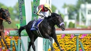 武豊騎手 今週の騎乗馬…マジックサンズなど12鞍