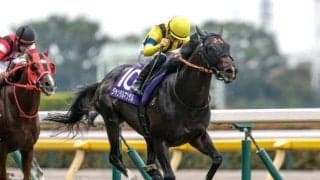 【今日の注目ポイント】東京でマイルCSの前哨戦・富士S