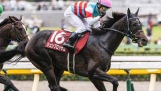 6歳以上は過去10年で苦戦傾向 富士Sは4歳馬に注目