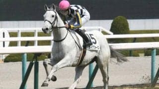 【富士S予想】逃げ馬不在で落ち着いた流れか 道中で我慢できる精神力がポイントに