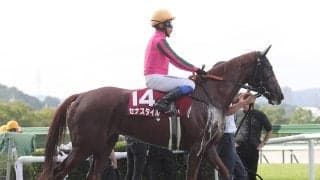 【競馬予想】秋華賞はさらなる上積み見込めるカムニャックが断然の主役　一発あるなら伸びしろ大きい良血馬