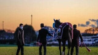 あなたの支援が引退馬の未来を支える 「Yogiboヴェルサイユリゾートファーム」がクラウドファンディング募集中