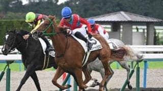 【京都5R新馬戦結果】リアルインパクト産駒スウィートハピネスが接戦を制す