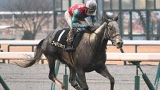 【豪・コーフィールドC結果】日本のゴールデンスナップは14着　ハーフユアーズがV