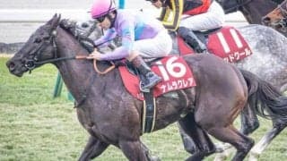 重賞5勝ナムラクレアの全弟 ナムラロダンがデビュー勝ちなるか