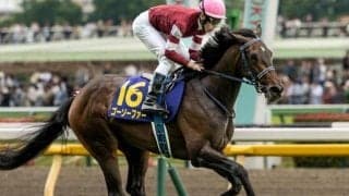 「ウマ娘」藤田晋オーナーの重賞3着馬 ゴーソーファーが自己条件で再出発だ