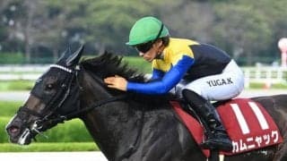 【AI予想・秋華賞】週初めの評価から一転！ 死角らしい死角が見当たらない人工知能の本命馬