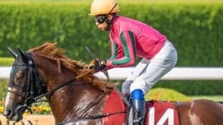 霜降り明星・粗品はセナスタイルを本命に抜擢 秋華賞は3連複で勝負だ