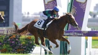 【新馬/東京4R】エピファネイア産駒 エピッククイーンがデビューV