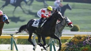 【東京3R】コントレイル産駒 ダノンセフィーロが断然の支持に応える