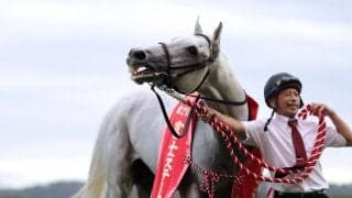 WIN5は1万3431票的中…富士SはガイアフォースがV