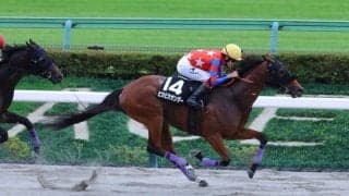 【伊勢佐木S】ピカピカサンダーが4連勝でオープン入り…グロバーテソーロはスタートで落馬