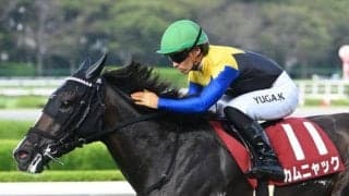 【今日の注目ポイント】京都で牝馬三冠最終戦・秋華賞