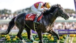 【東京HJ予想】春の障害王者など好メンバー集結 暮れの大舞台に弾みをつけるのは