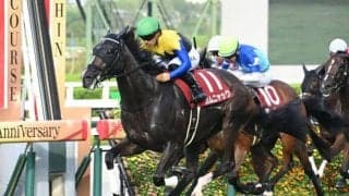 【秋華賞予想】勝ち馬の傾向はかなり顕著に!? 過去データから探るGI秋華賞