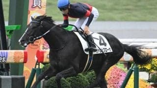 【京都5R新馬戦結果】コントレイル産駒ヴァロンブローサが逃げ切りV