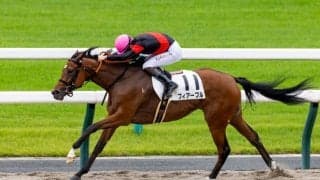 【京都1R】単勝1.4倍フィアーブルが快勝