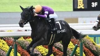 【もみじS結果】リリージョワが大逃げを決めてデビュー2連勝
