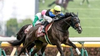 【秋華賞・馬体重】カムニャックは490kg(+8)、エンブロイダリーは488kg(+6)