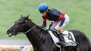 【新馬/京都5R】コントレイル産駒 ヴァロンブローサがデビューV