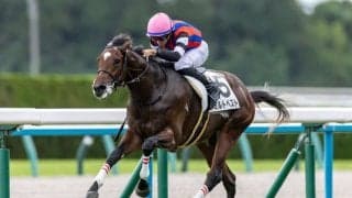 【新馬/京都4R】ファインニードル産駒 ミルトベストがデビューV