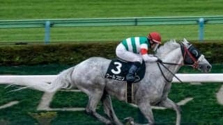 【JRA・WIN5】的中は1票！ 配当は歴代最高の5億6252万1610円！