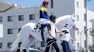 【アルテミスS】マルガ、タイセイボーグらが登録