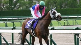 【天皇賞(秋)】メイショウタバル、タスティエーラらが登録