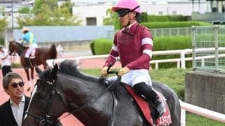 クラシック三冠の最終戦・菊花賞とアルテミスS/今週の競馬界の見どころ