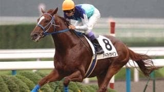 レコードタイムを生んだ武豊騎手の「大逃げ」 アドマイヤメインの菊花賞