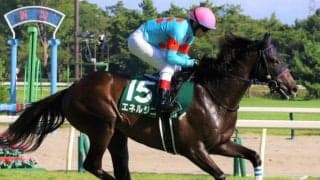 【菊花賞見どころ】異端のローテーションで挑むエネルジコ