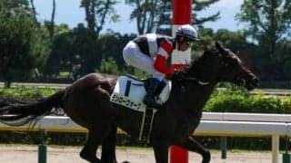 【アルテミスS見どころ】将来性豊かなモンローウォーク