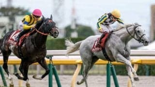 【富士S】売上は54億1605万1400円で昨年より約5.2億円増加