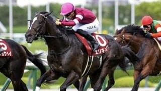 【菊花賞想定騎手】エリキングは川田将雅騎手、エネルジコはC.ルメール騎手