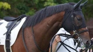 【菊花賞】武豊騎手＆武幸四郎調教師の兄弟タッグ マイユニバースでGI初制覇なるか