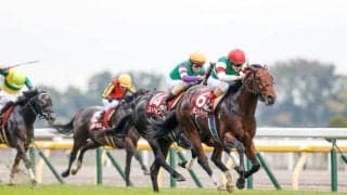 【先週のJRA抹消馬】20年の京王杯2歳S覇者モントライゼ、昨春のアネモネSを制したキャットファイトなど