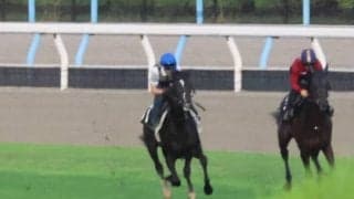 24年セレクト1歳で5億9000万円！ エムズビギンが日曜京都で初陣/関西馬メイクデビュー情報