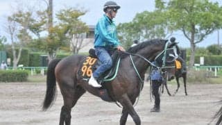 祖母はアドマイヤグルーヴのウップヘリーアが土曜東京で初陣 黒岩師「素質の高さを感じる」/関東馬メイクデビュー情報