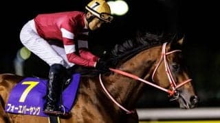 ブリーダーズカップ3競走の馬券発売を発表…フォーエバーヤングなど日本馬が出走予定