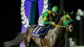 JBC各競走の選定馬が決定…ウィルソンテソーロなど