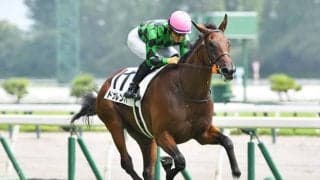 【アルテミスS展望】前走未勝利組のドナルンバが重賞初制覇を狙う