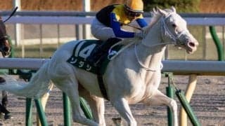 白毛のアイドルが重賞連勝 ソダシが制したアルテミスS