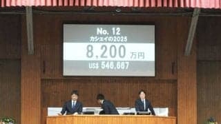 【ミックスセール2025】Kingman産駒に8200万円